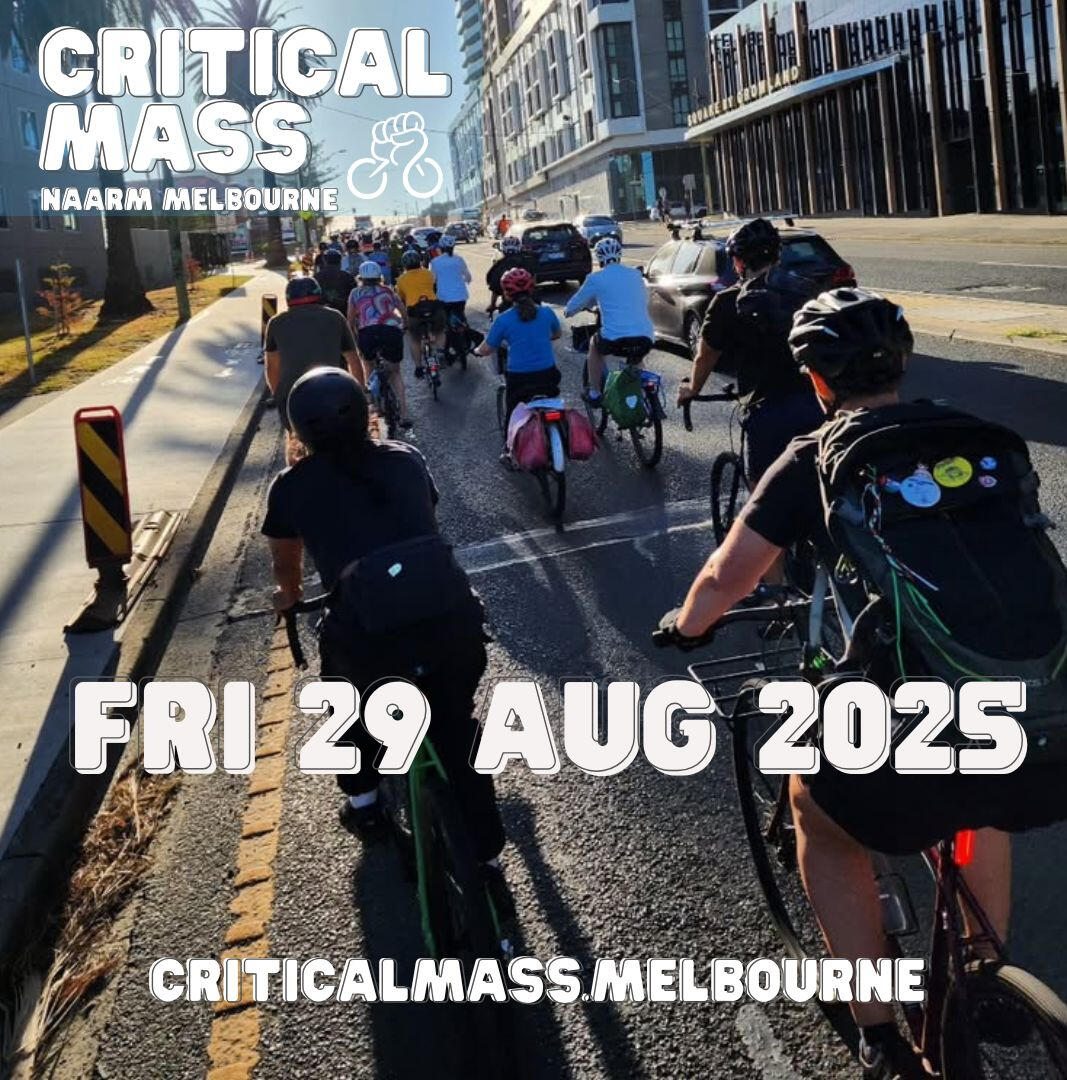 Critical Mass 29 August 2025 Critical Mass 29 August 2025